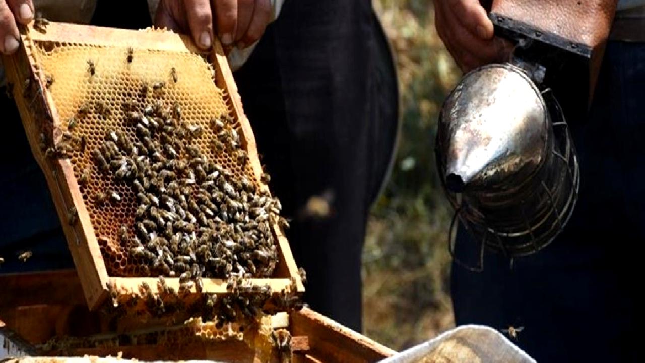 Doğu Karadeniz İhracatçılar Birliği’nden Bal İhracatında Rekor Artış