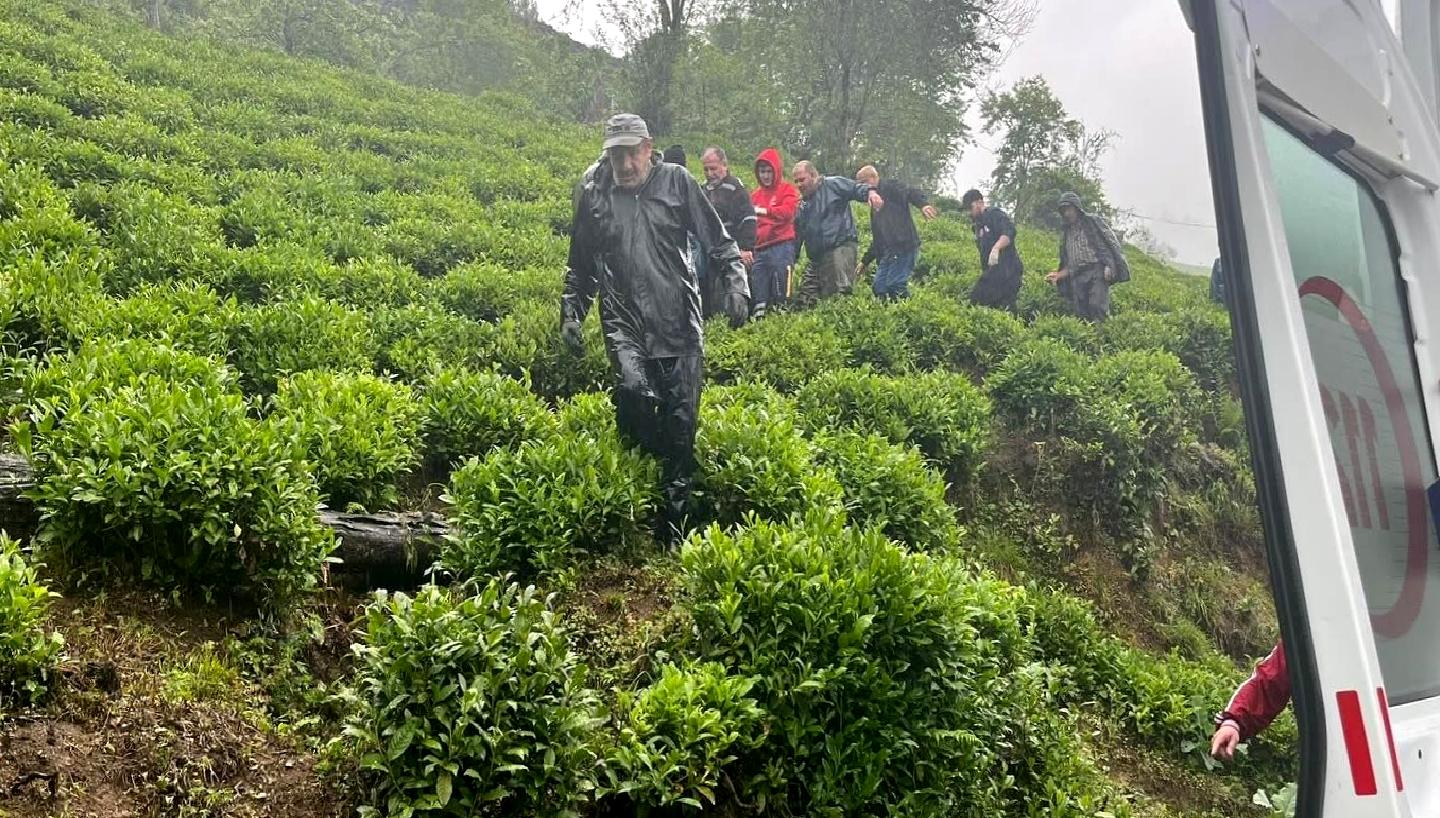 Rize’nin Muradiye Beldesinde Çay Hasadı Sırasında Kaza